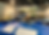 14 マグロ展示2(京都会場)-1200.png